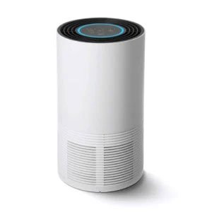 JBL Speaker